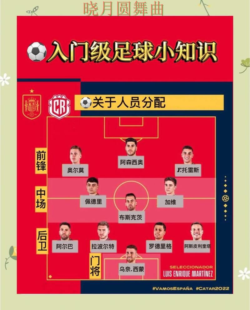 世界杯买球app新手入门规则解析，常见误区盘点